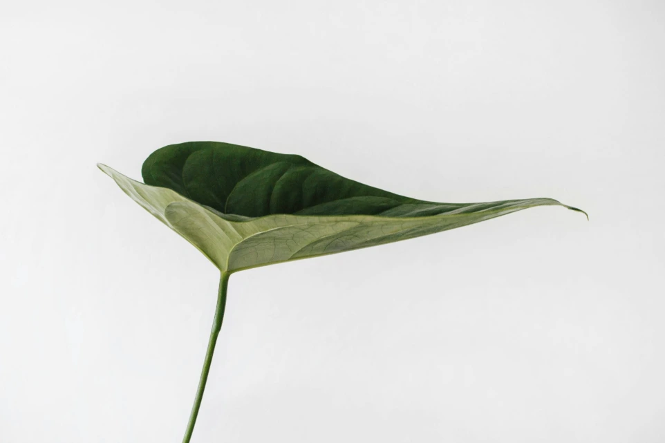 At MaterialHubUSA.com, ESG is part of how we think about responsible industrial sourcing. This ESG Hub explains how environmental, social, and governance considerations influence our platform design, supplier expectations, and relationships with global buyers and partners.