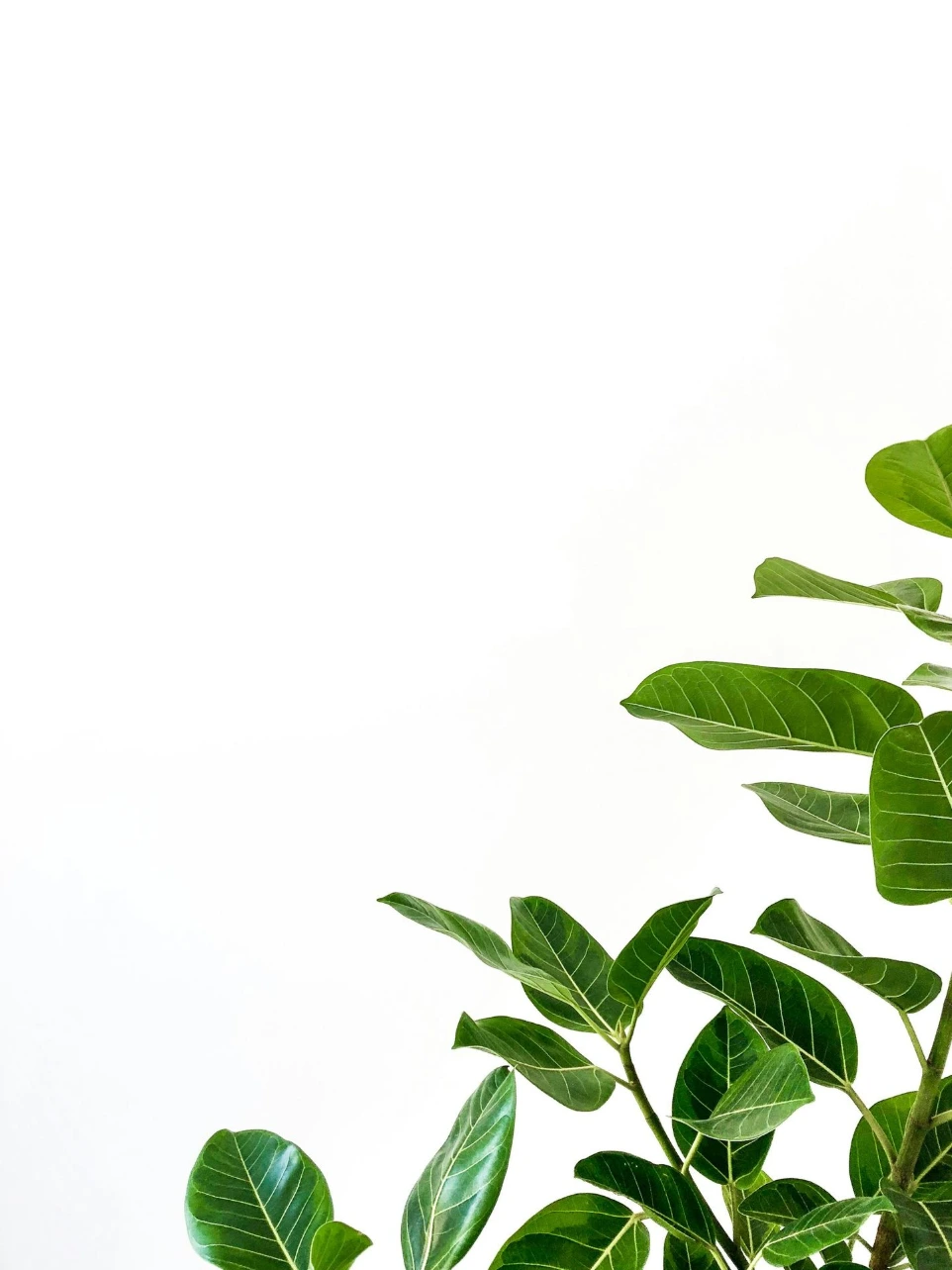 MaterialHubUSA.com does not replace corporate ESG programs, but we aim to support them with transparency, structure, and better information.