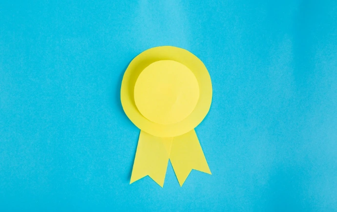 Not a formal certification or audit program.